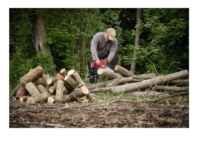 HATCHET M18 FUEL 8-Inch 18V Lithium-Ion Cordless Brushless Electric Chainsaw with 6.0Ah and 5Ah M18 Sawzall (2-Tool)